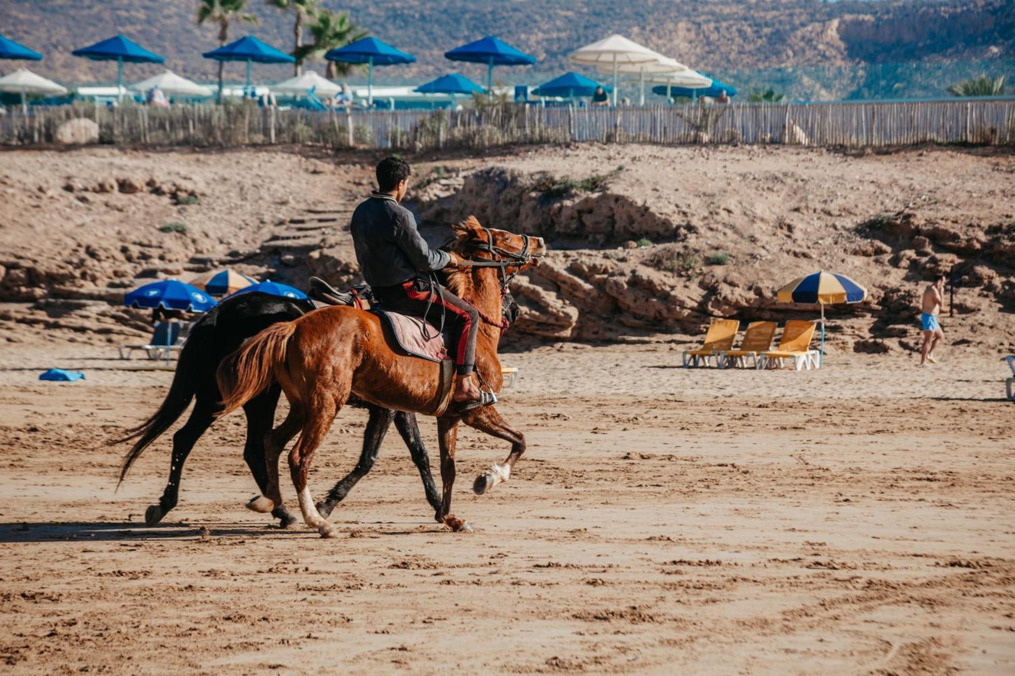Harmony Surf Lodge 塔哈佐特 外观 照片